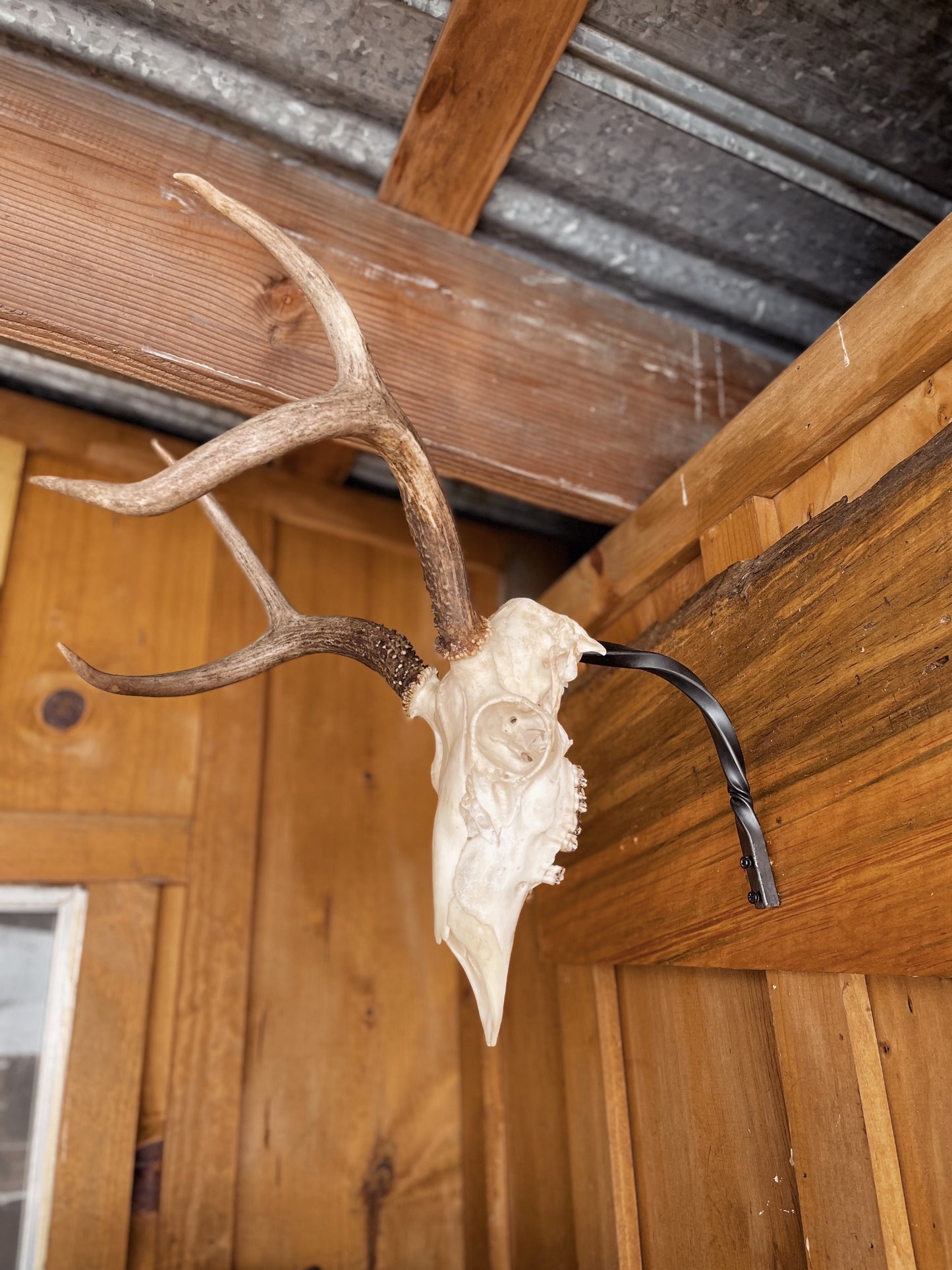 Dead Head Display Mount